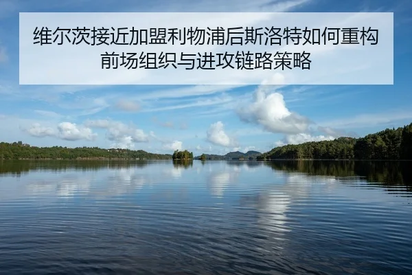 wei-er-ci-jie-jin-jia-meng-li-wu-pu-hou-si-luo-te-ru-he-zhong-gou-qian-chang-zu-zhi-yu-jin-gong-lian-lu-ce-lve-2-448.jpg
