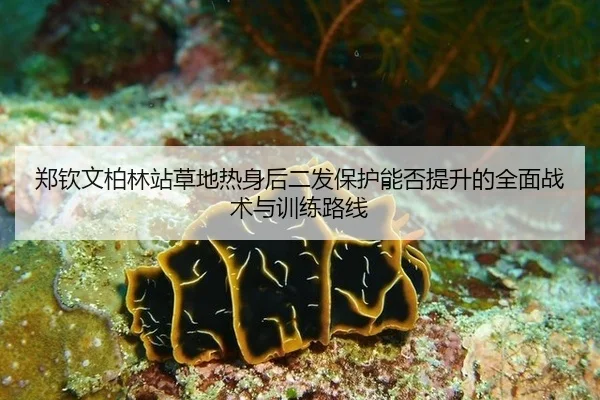 zheng-qin-wen-bo-lin-zhan-cao-di-re-shen-hou-er-fa-bao-hu-neng-fou-ti-sheng-de-quan-mian-zhan-shu-yu-xun-lian-lu-xian-2-160.jpg
